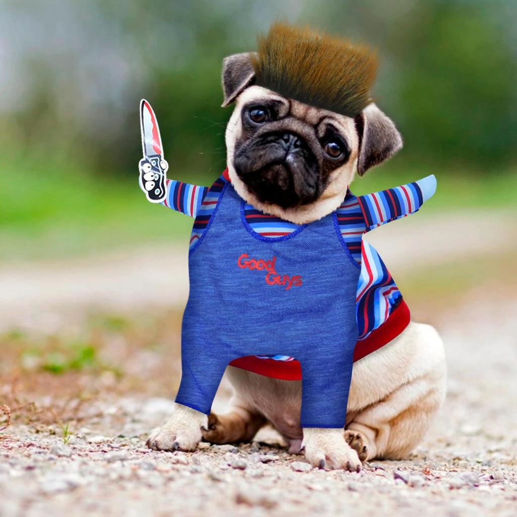 Disfraces Mascotas DFMSC